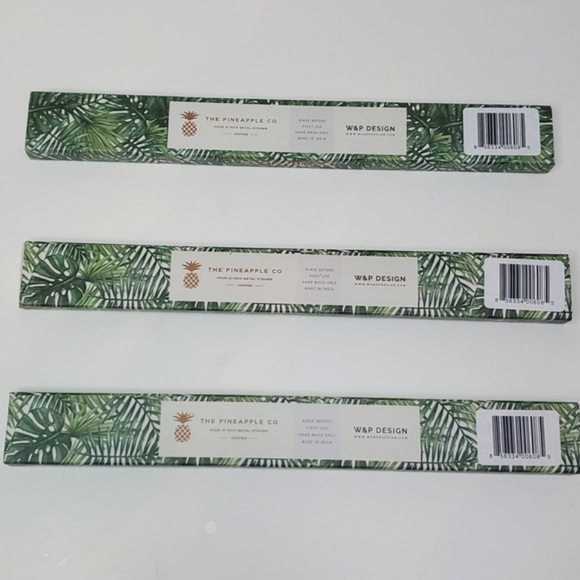 3X THE PINEAPPLE CO RE-USEABLE COPPER STRAW SET - Picture 2 of 5